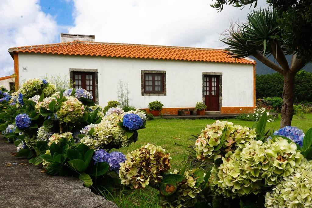 Casa Via D'Agua In Faja Grande Villa Bagian luar foto